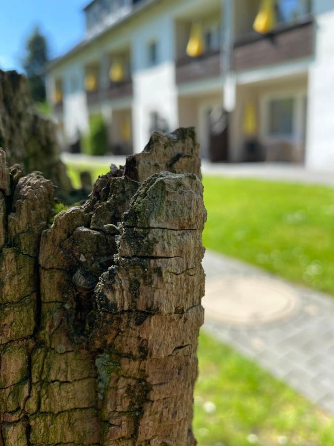 Gaestehaus Falkenhof Westensee Kültér fotó