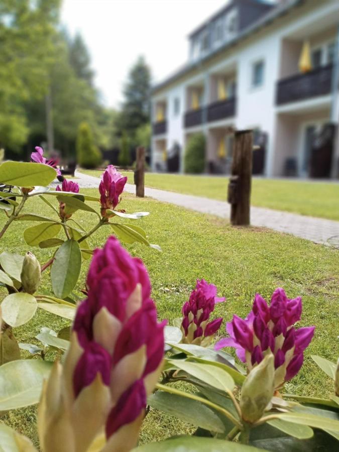 Gaestehaus Falkenhof Westensee Kültér fotó
